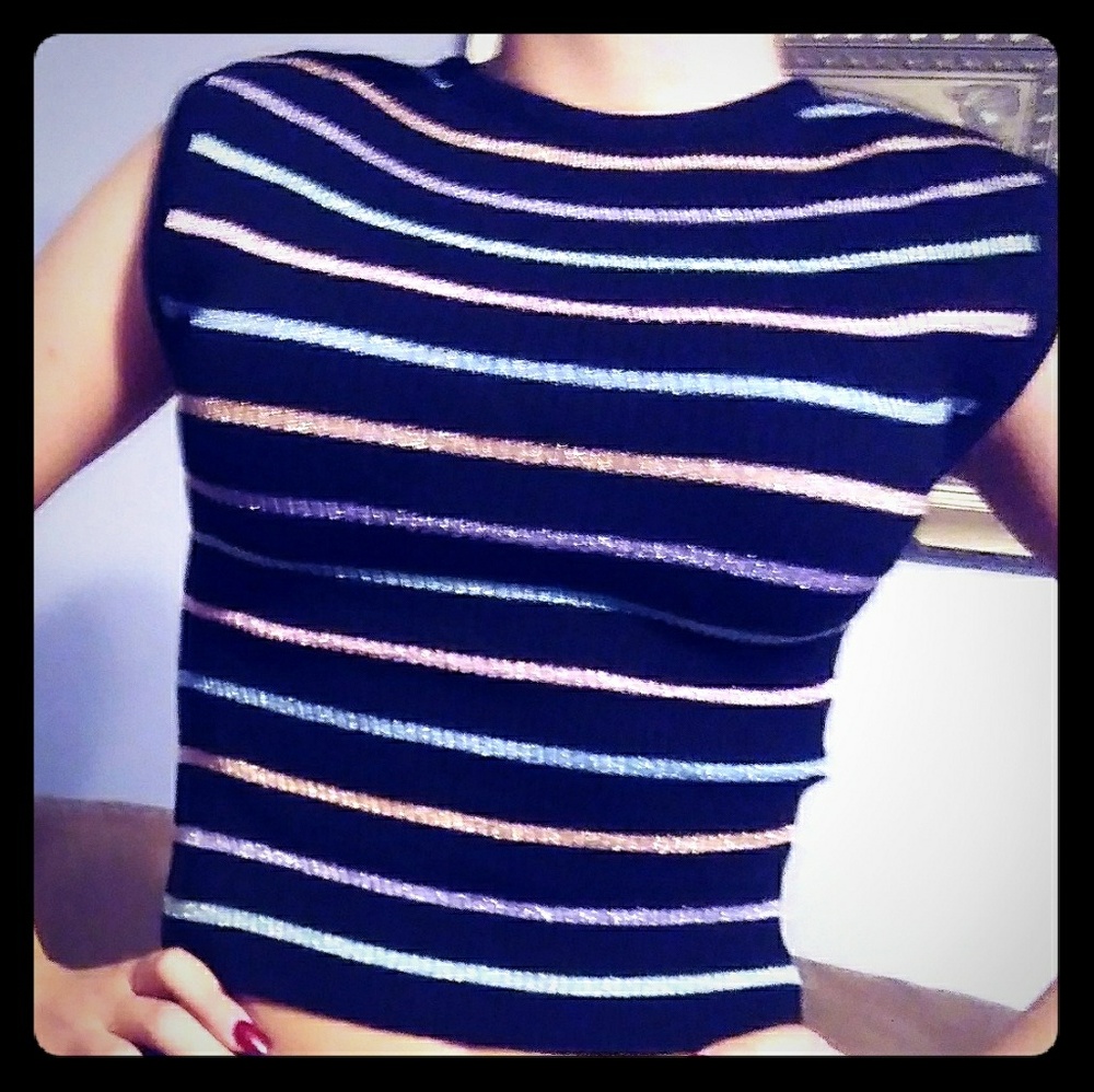 Vintage Multi Colored Metallic Striped crop top